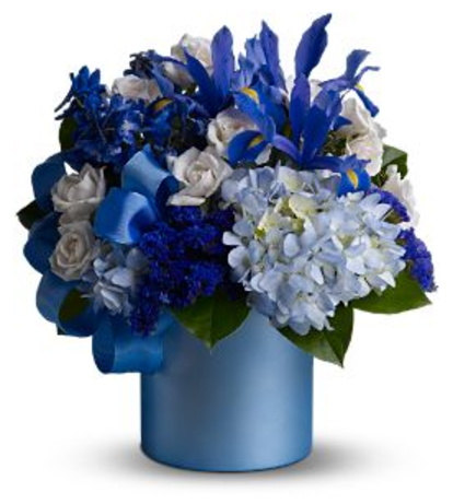Blue Blooms